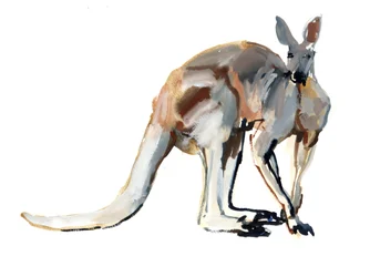 Roo (Rotes Riesenkänguru), 2012