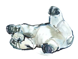 Schnee Rub (Eisbär), 2013