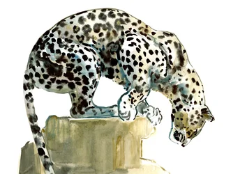 Wirbelsäule (Arabischer Leopard), 2015