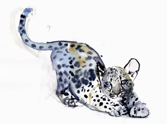 Dehnendes Jungtier (Arabischer Leopard), 2008