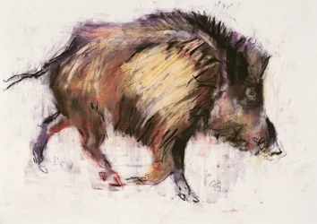 Wildschwein im Trab, 1999