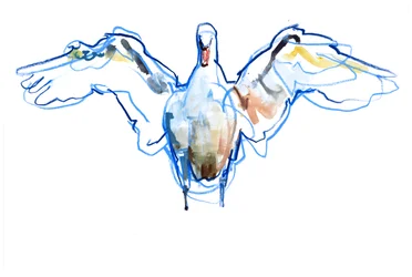 Ausgebreitete Flügel, 2022