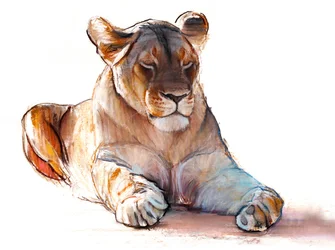 Yogi-Löwin, 2019