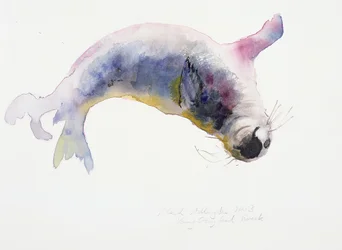 Junger Kegelrobbe, Gweek, 2003