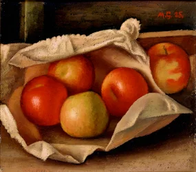 Äpfel in einer Tasche