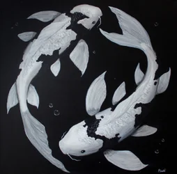 Yin Yang Koi Fische