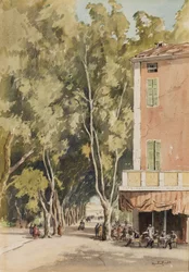 Eine Allee von Platanen, Vaison, Vaucluse, Oktober 1933