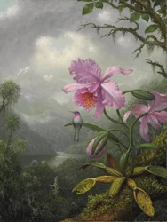 Kolibri auf der Orchideenpflanze