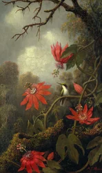 Kolibri und Passionsblumen, ca. 1875-85