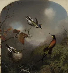 Kolibris: Zwei Sonnenjuwelen und ein Purpur-Topas, 1866