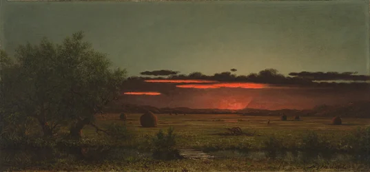 Wiesen in Jersey bei Sonnenuntergang