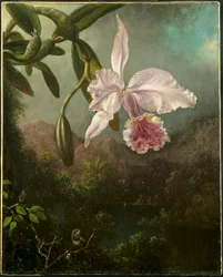 Orchideenblüten, 1873