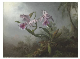 Rosa Orchideen und Kolibri auf einem Zweig, 1875