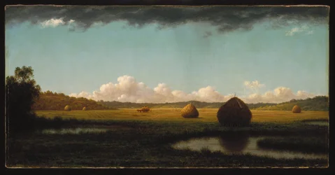 Sommerschauer