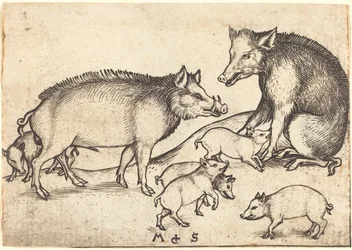 Schweinefamilie