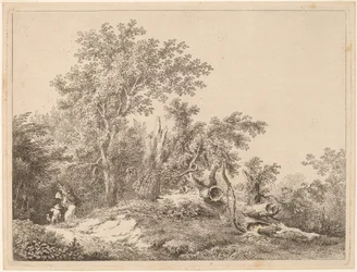 Landschaft mit gebrochenem Baum
