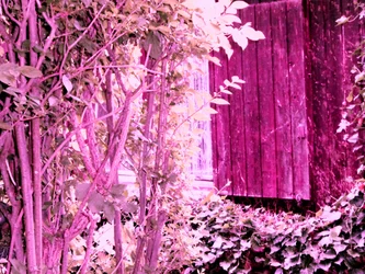 Am Gartenhaus