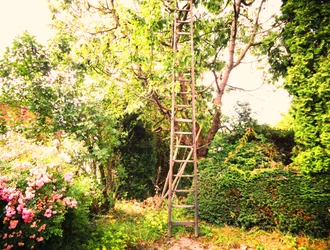 Am Kirschbaum