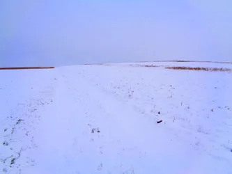 Felder im Winter