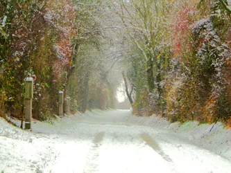 Feldweg