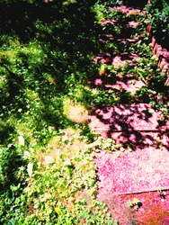 Prinz und Prinzessin oder Gras und Gartenweg