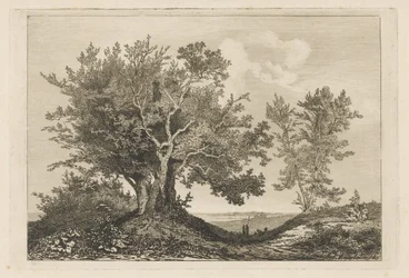 Landweg zwischen zwei Baumgruppen