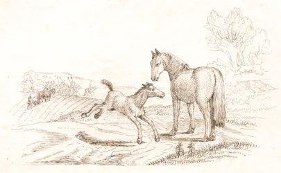 Illustration zu "Halvhundrede Fabler for Børn" von Hey
