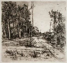 Auseinandergehende Wege