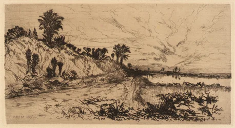 Die Küste Floridas