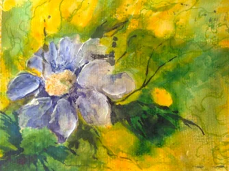 Clematis in der Abendsonne