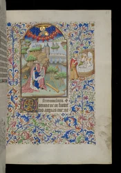König David