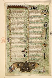 Wespen, Motten, Libellen und eine Raupe, aus einem Traktat über die Tugenden und Laster und einer anonymen Prosageschichte Siziliens (Fragment), ca. 1330-40