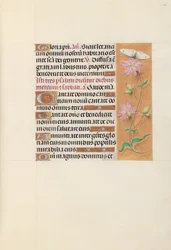 Stundenbuch der Königin Isabella der Katholischen, Königin von Spanien: Fol. 107r