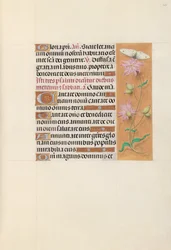 Stundenbuch der Königin Isabella der Katholischen, Königin von Spanien: Fol. 107r, ca. 1500