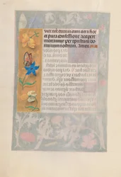 Stundenbuch der Königin Isabella der Katholischen, Königin von Spanien: Fol. 192v, ca. 1500
