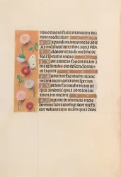 Stundenbuch der Königin Isabella die Katholische, Königin von Spanien: Fol. 209v, um 1500