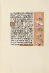 Stundenbuch der Königin Isabella der Katholischen, Königin von Spanien: Fol. 21r, ca. 1500