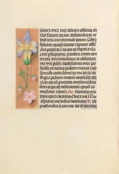 Stundenbuch der Königin Isabella der Katholischen, Königin von Spanien: Fol. 237v, ca. 1500
