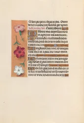 Stundenbuch der Königin Isabella die Katholische, Königin von Spanien: Fol. 246v, ca. 1500