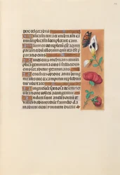 Stundenbuch der Königin Isabella der Katholischen, Königin von Spanien: Fol. 249r