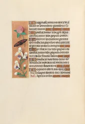 Stundenbuch der Königin Isabella der Katholischen, Königin von Spanien: Fol. 250v, um 1500