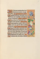 Stunden der Königin Isabella der Katholischen, Königin von Spanien: Fol. 251r