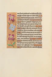 Stunden der Königin Isabella der Katholischen, Königin von Spanien: Fol. 251v, ca. 1500