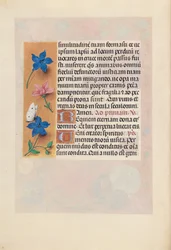 Stundenbuch der Königin Isabella der Katholischen, Königin von Spanien: Fol. 25v, ca. 1500