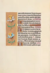 Stunden der Königin Isabella der Katholischen, Königin von Spanien: Fol. 40v, um 1500