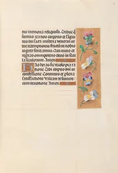 Stundenbuch der Königin Isabella der Katholischen, Königin von Spanien: Fol. 49r, ca. 1500