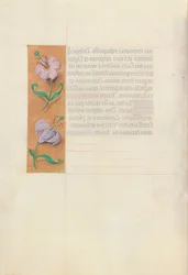 Stundenbuch der Königin Isabella die Katholische, Königin von Spanien: Fol. 49v, ca. 1500