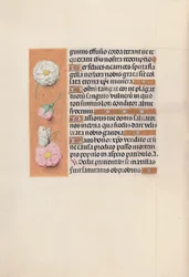 Stundenbuch der Königin Isabella der Katholischen, Königin von Spanien: Fol. 58v, ca. 1500
