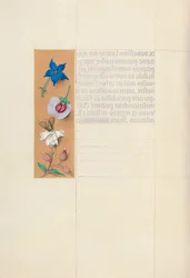 Stunden der Königin Isabella der Katholischen, Königin von Spanien: Fol. 71v, um 1500