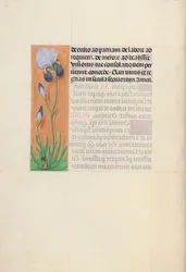 Stundenbuch der Königin Isabella der Katholischen, Königin von Spanien: Fol. 79v, ca. 1500